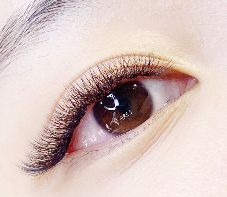 6D魅惑眼線款500根睫毛嫁接