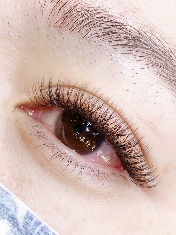 捕夢網眼線感400根