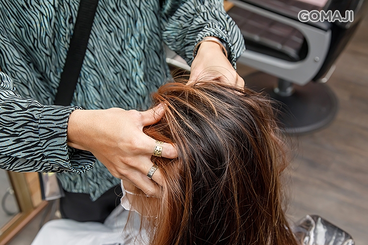 日本哥德式滋養補水修復