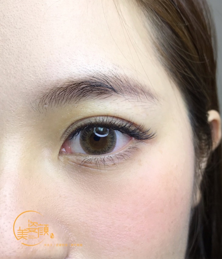 美睫嫁接