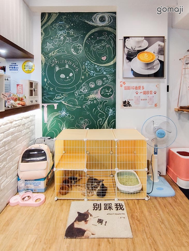 一隅有貓