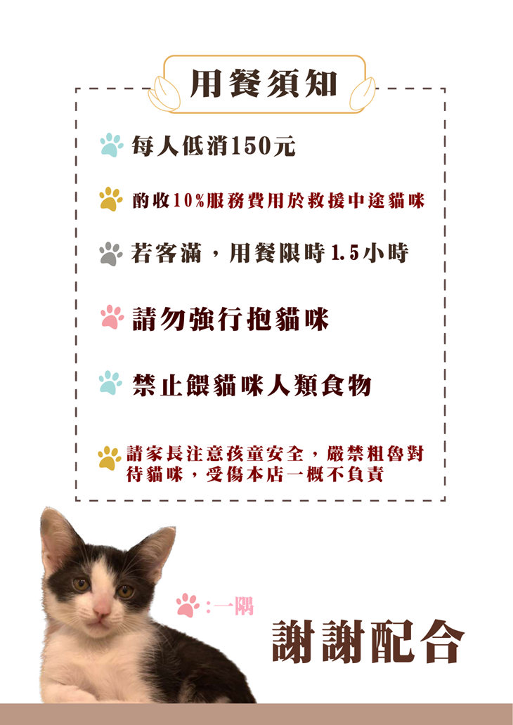 一隅有貓
