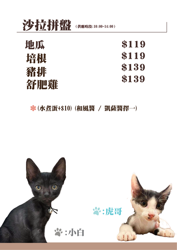 一隅有貓