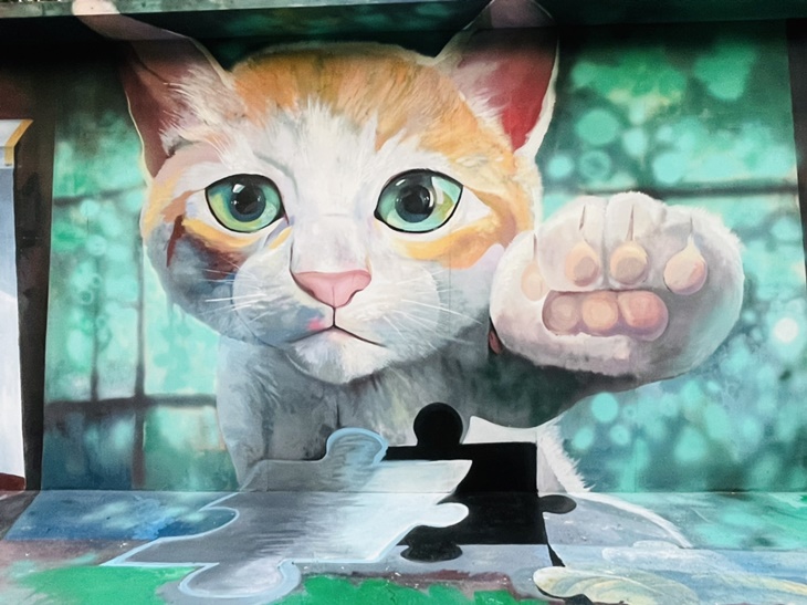 歐洲童話小屋、3D彩繪牆、實景海盜船