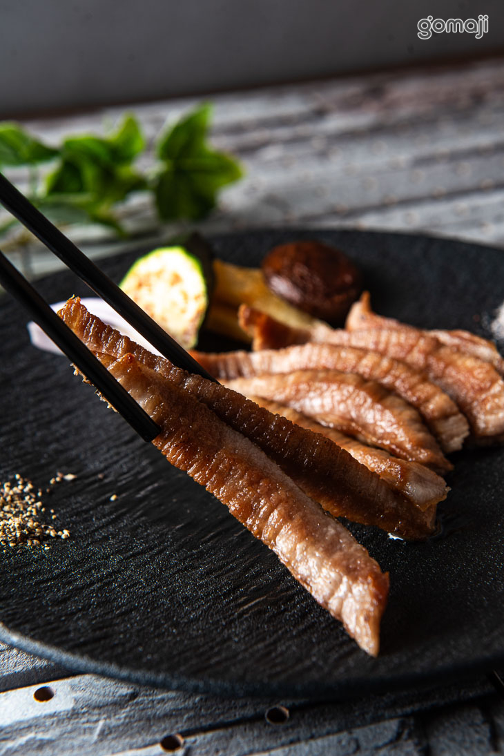 西班牙伊比利豬