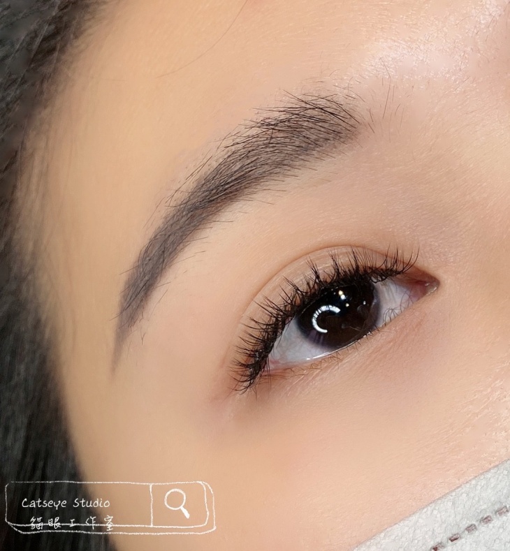 C.自然濃密柔軟Y毛400根▼