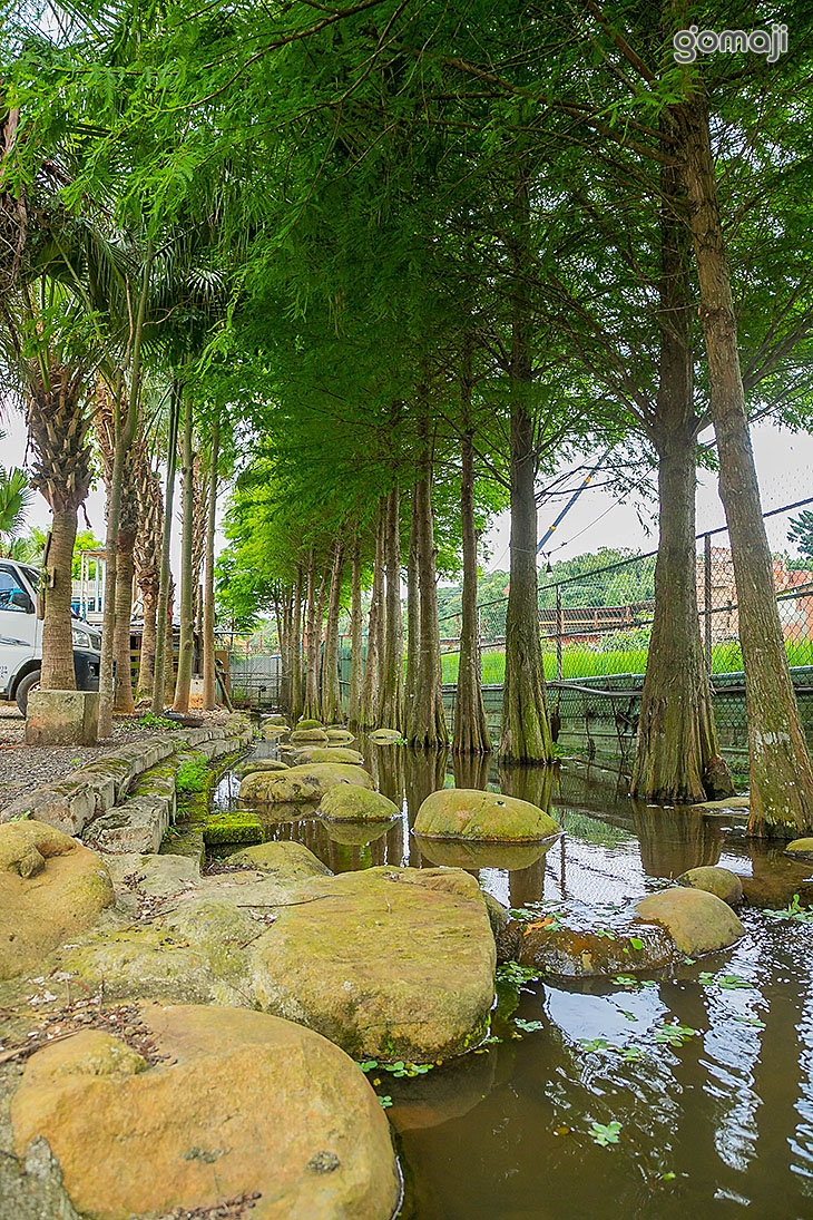 桃蘆坑景觀農場餐廳