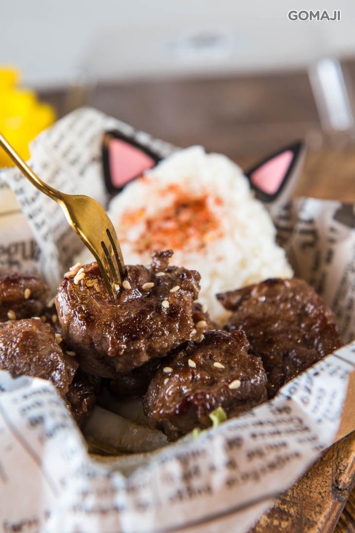 期間限定:喵咪飯丸