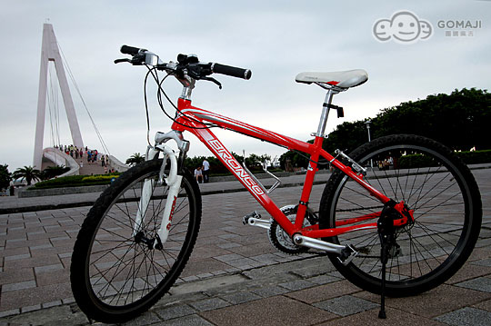 〈单人自行车-小车轮〉