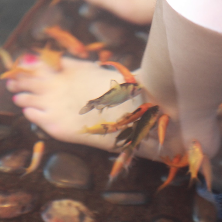 溫泉魚足浴