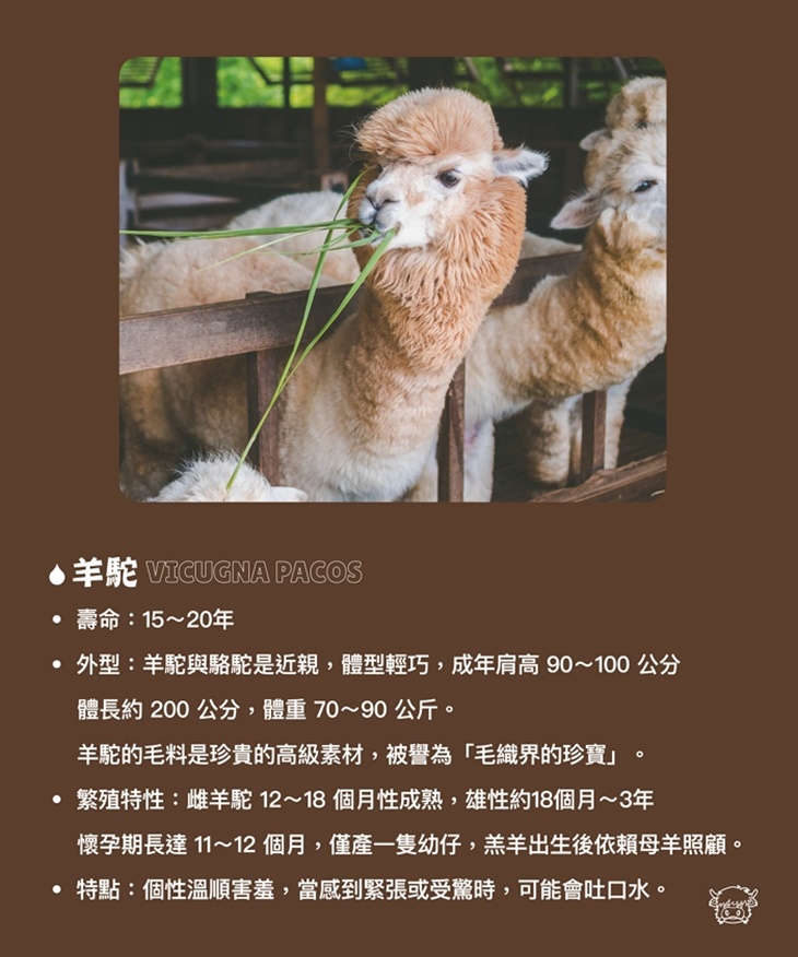 南投埔里-水与松萌萌園