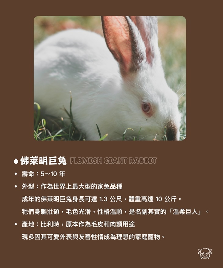 南投埔里-水与松萌萌園