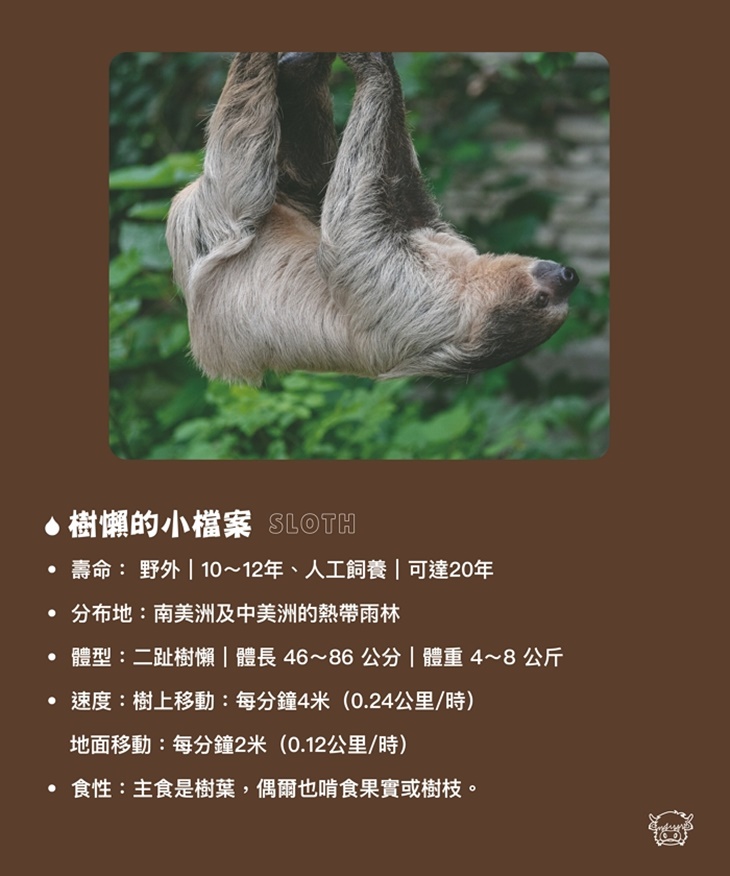 南投埔里-水与松萌萌園