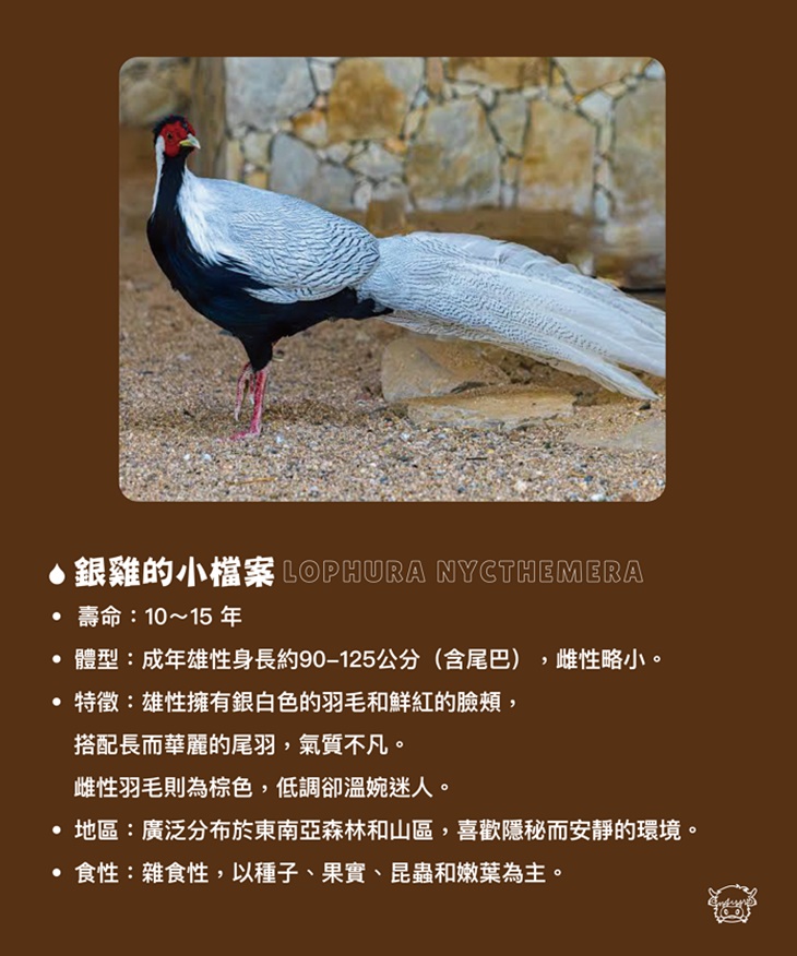 南投埔里-水与松萌萌園