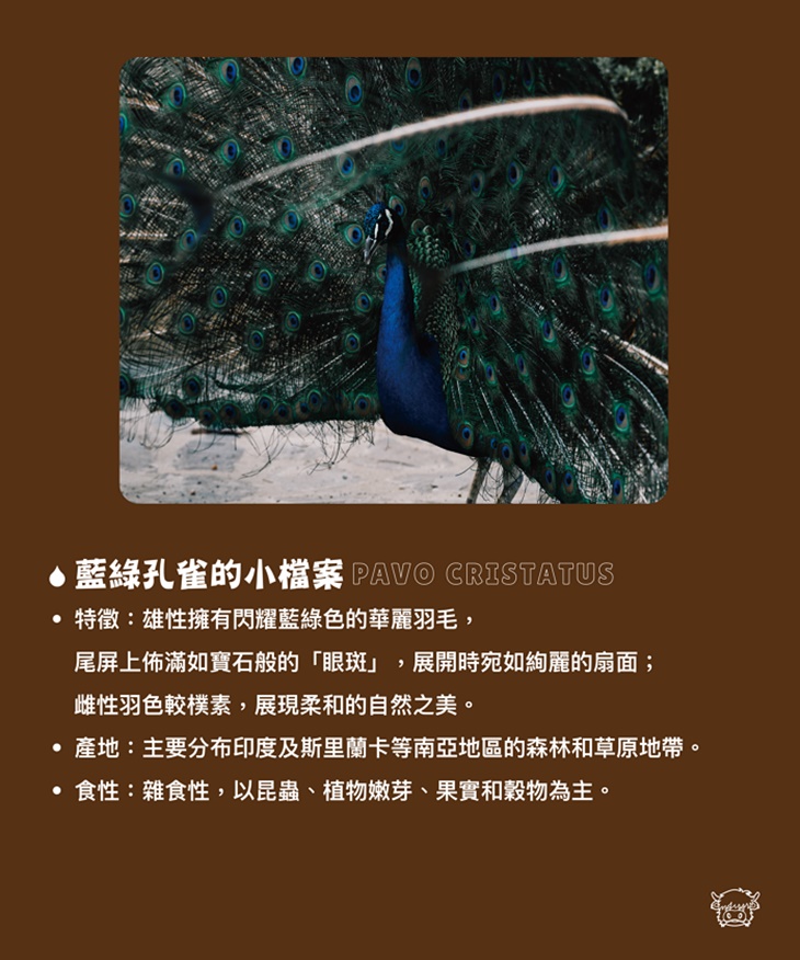 南投埔里-水与松萌萌園