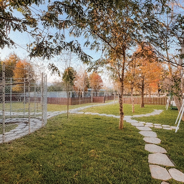 南投埔里-水与松萌萌園