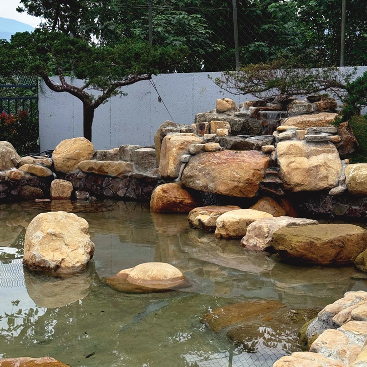 南投埔里-水与松萌萌園