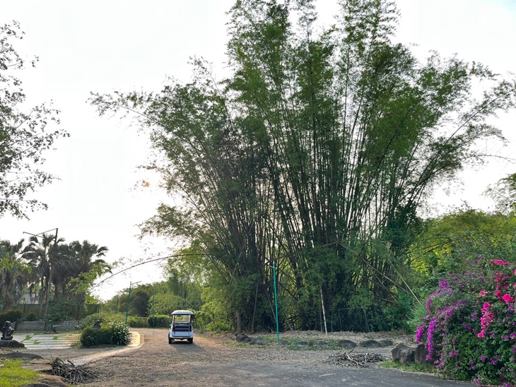 嘉義-松田崗蒙古渡假村