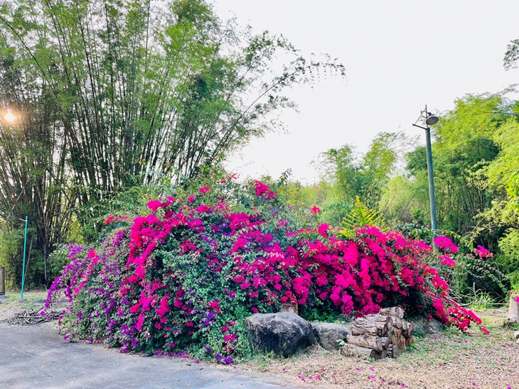 嘉義-松田崗蒙古渡假村