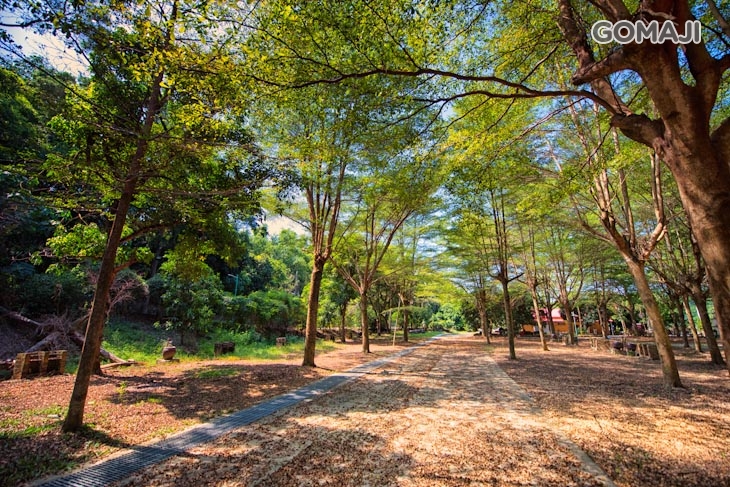 嘉義-松田崗蒙古渡假村