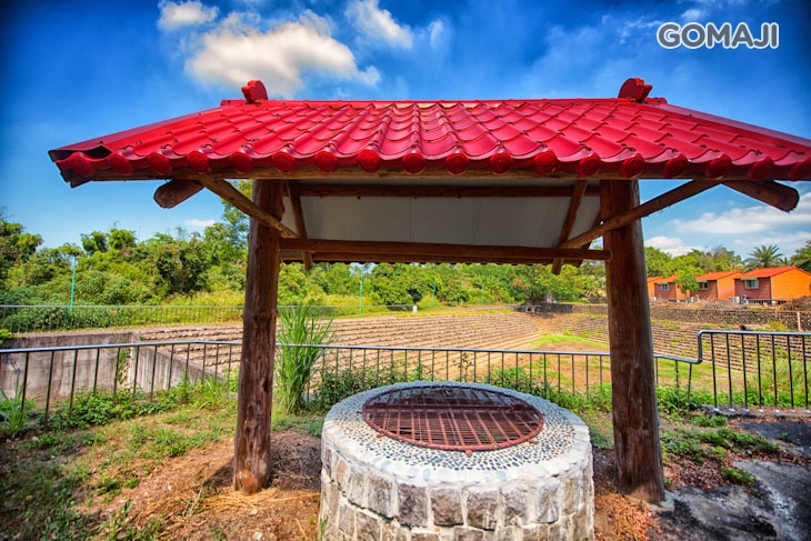 百年楊桃樹/百年古井