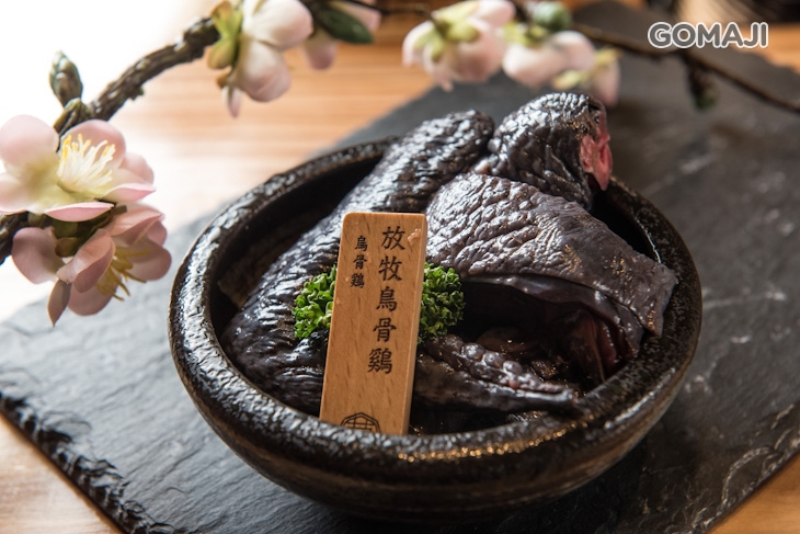 放牧烏骨雞