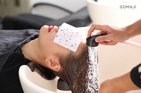 資生堂專業洗髮