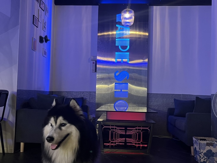 雅典鑄鐵鍋燒/Life Bar