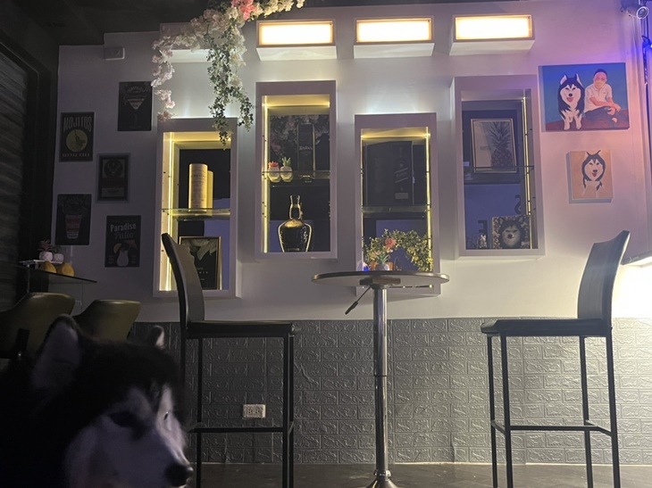 雅典鑄鐵鍋燒/Life Bar