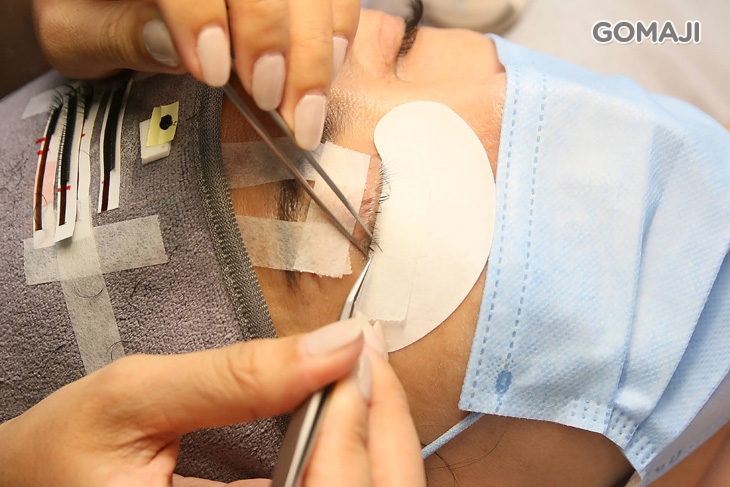 6D500根美睫嫁接(三葉草/幸運草 二選一)