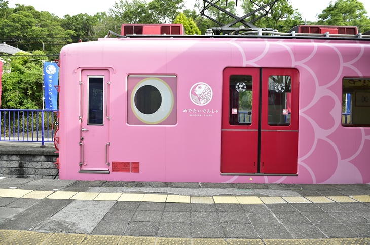 【南海電鐵】全線二日自由乘車券