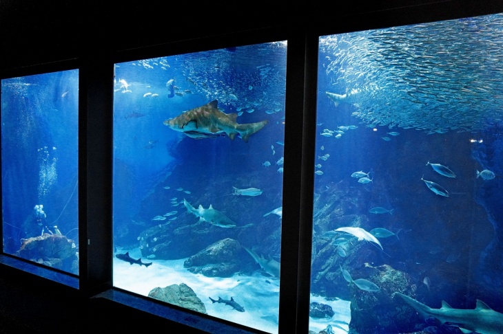 日本福岡MARINE WORLD海之中道水族館