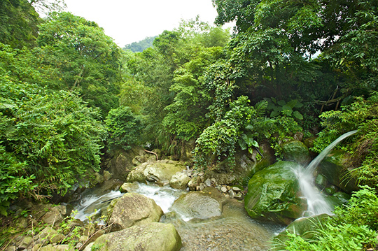 新竹-峇里森林溫泉渡假村