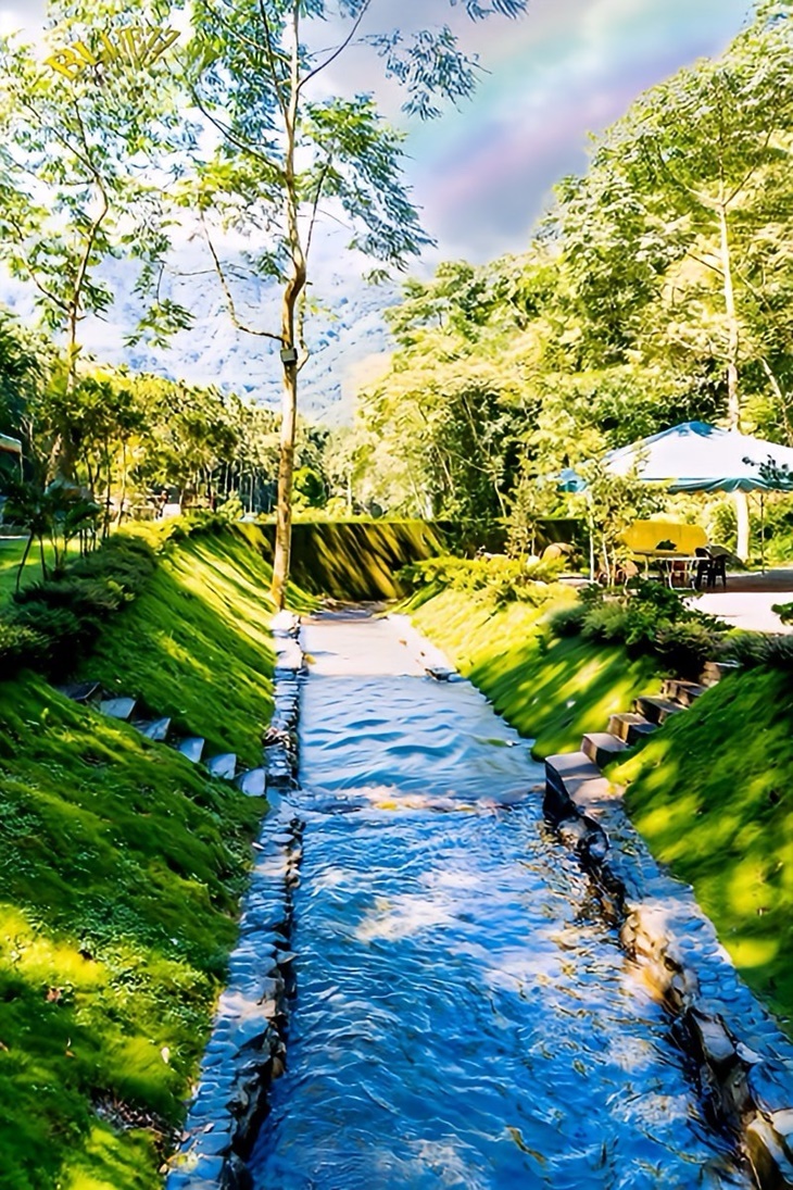 茶野裡山野露營(南投龍泉營區)