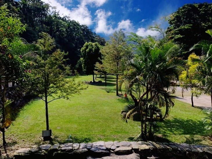 茶野裡山野露營(南投龍泉營區)