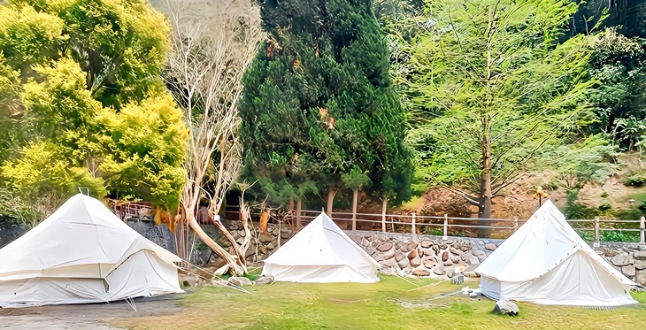 茶野裡山野露營(南投龍泉營區)