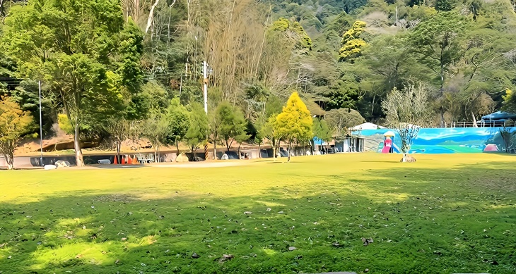 茶野裡山野露營(南投龍泉營區)