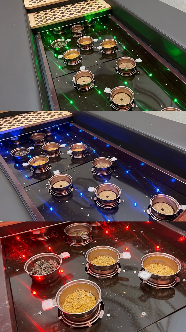 全身精油舒壓按摩+能量艙排痠排汗