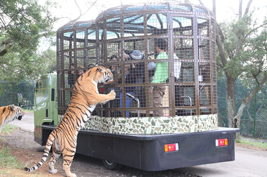 六福村主題遊樂園