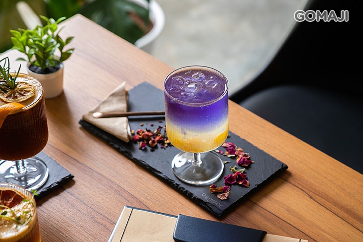 極光珊瑚戀氣泡