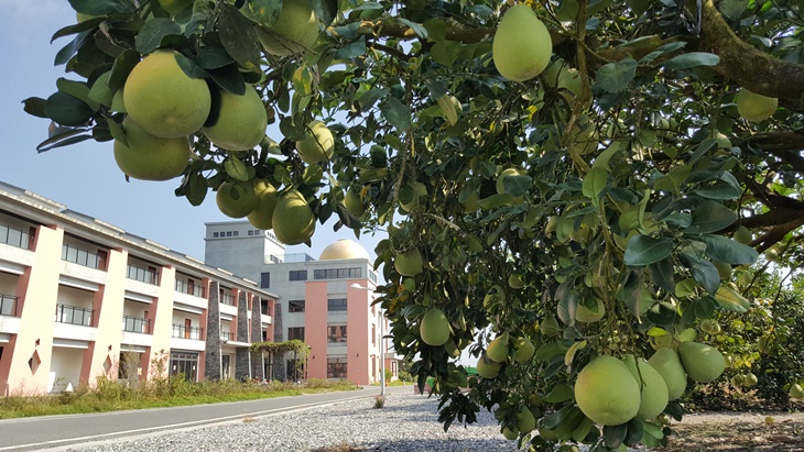 (二大床，房內附泡湯池)