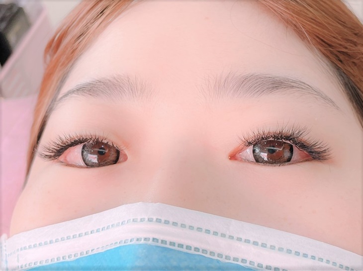  6D 500根