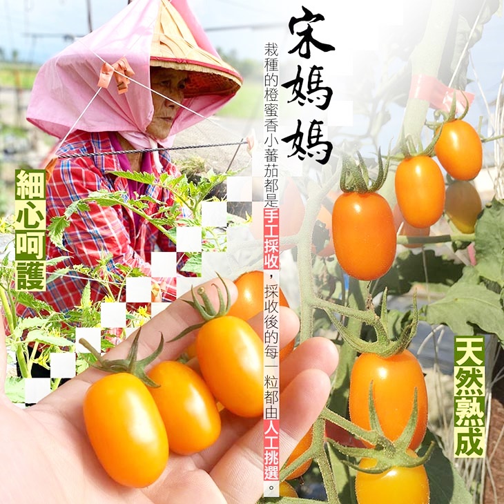 高雄美濃橙蜜香小番茄