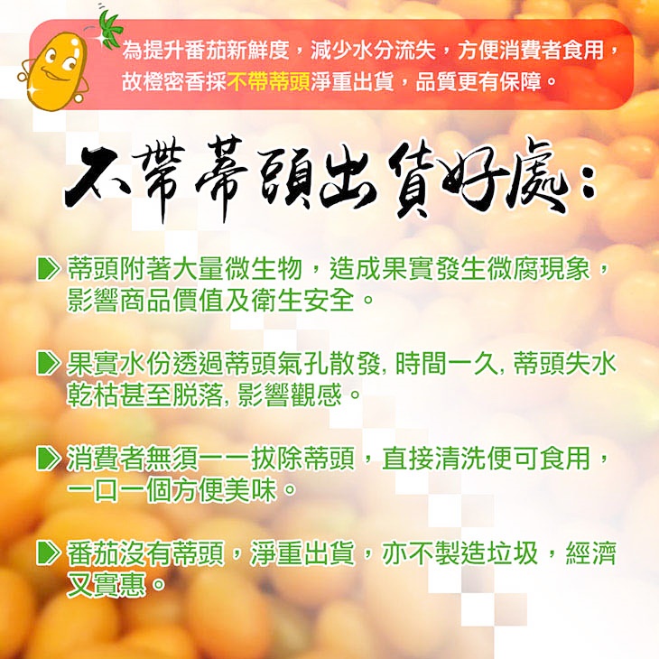 高雄美濃橙蜜香小番茄
