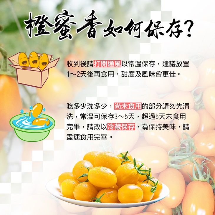 高雄美濃橙蜜香小番茄