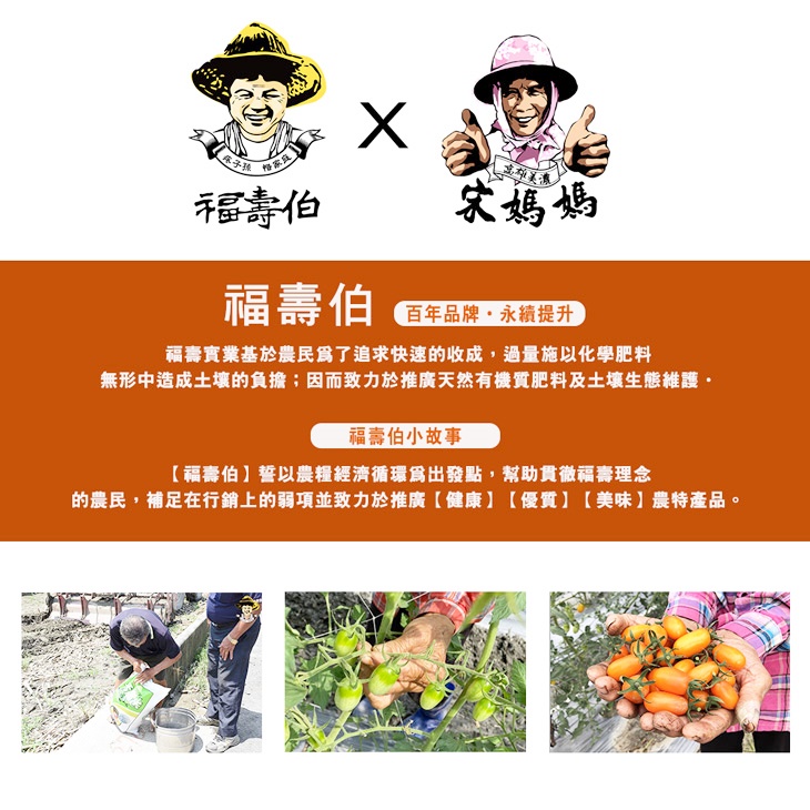 高雄美濃橙蜜香小番茄