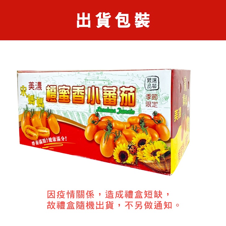 高雄美濃橙蜜香小番茄