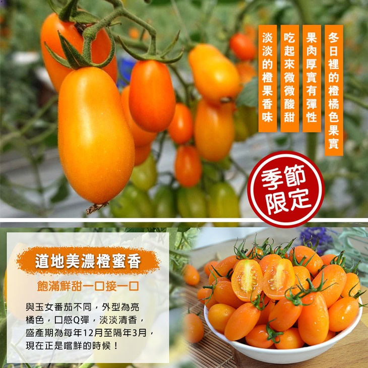 高雄美濃超人氣橙蜜香小番茄