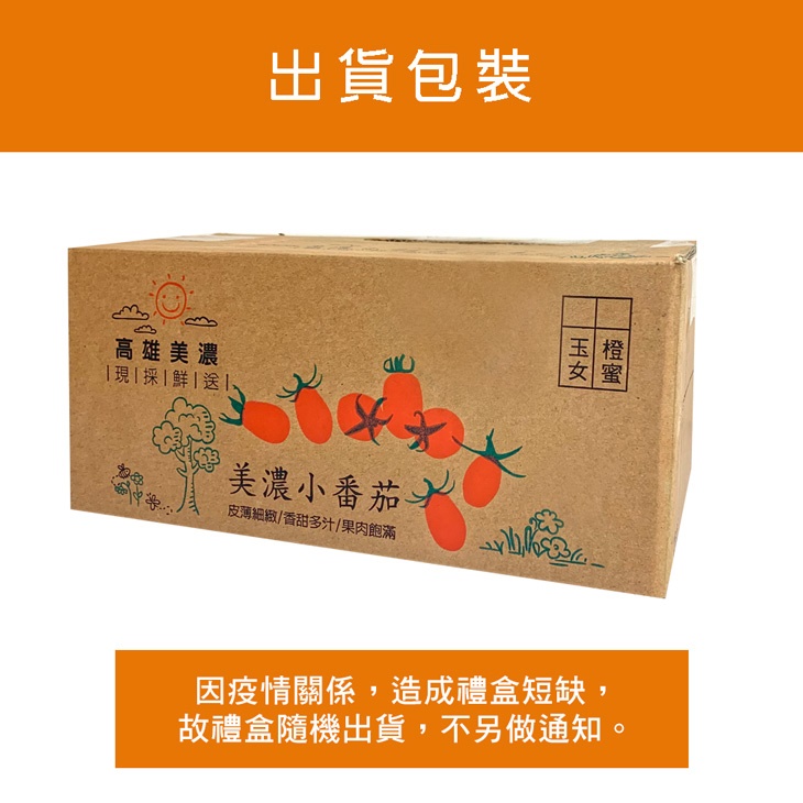 高雄美濃超人氣橙蜜香小番茄