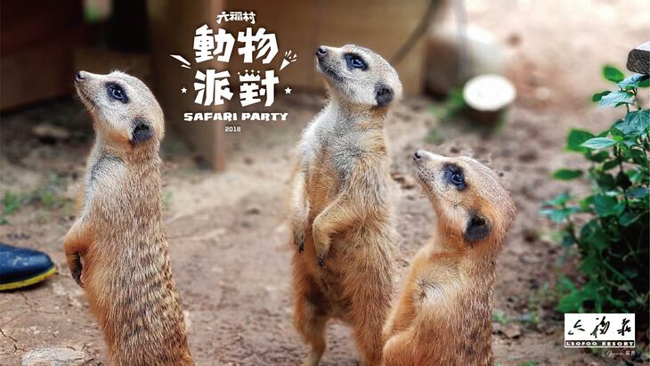 關西六福莊生態度假旅館